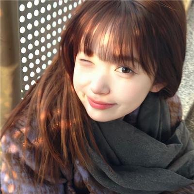 米歇尔先生的狗