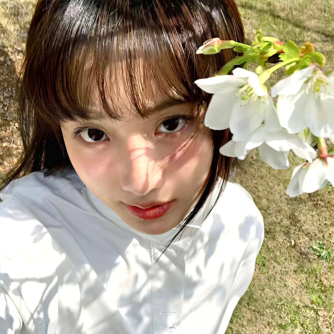 夏枝卖鱼的狂飙人生